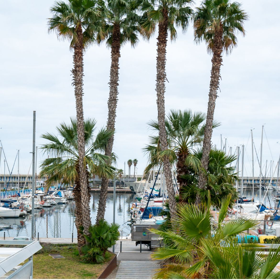 The Port of Mataró